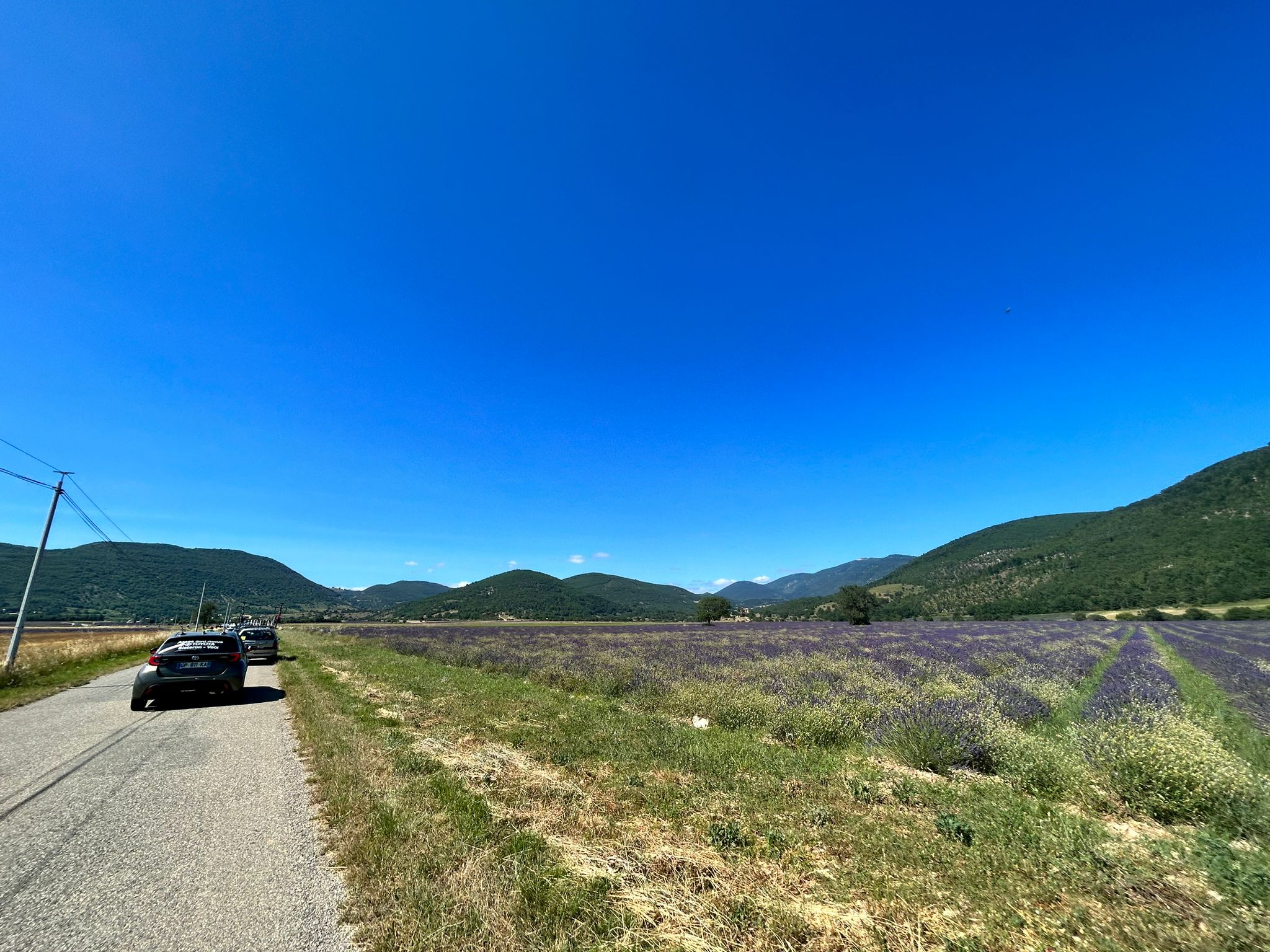 IMG-20230704-WA0026
