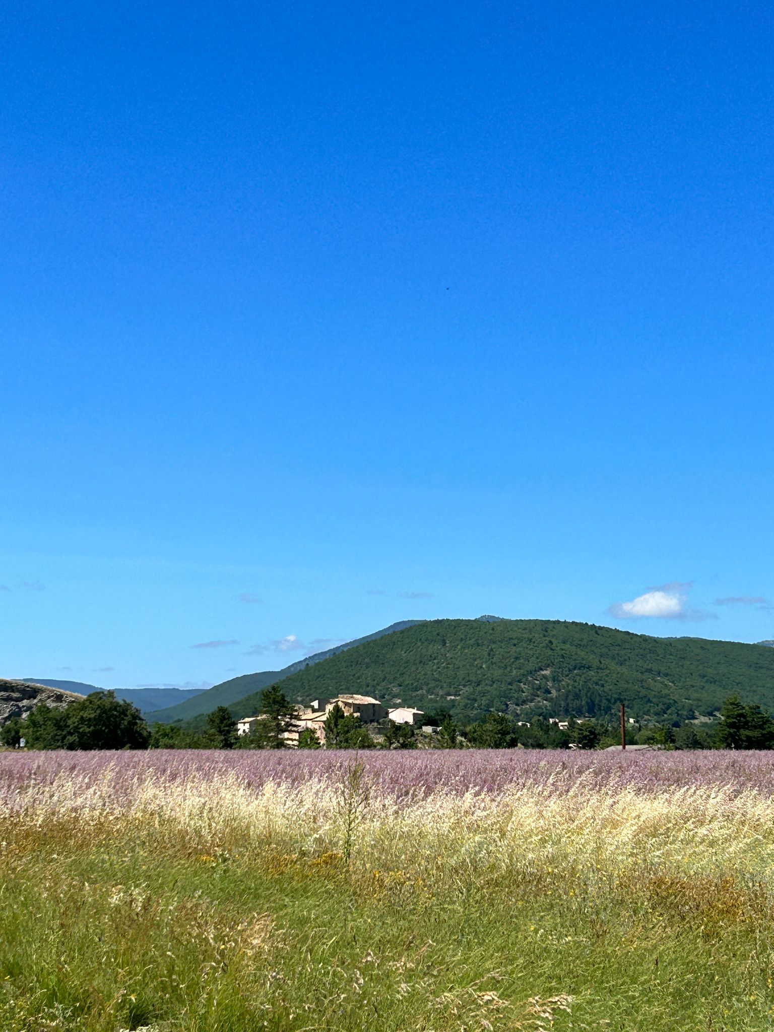 IMG-20230704-WA0029