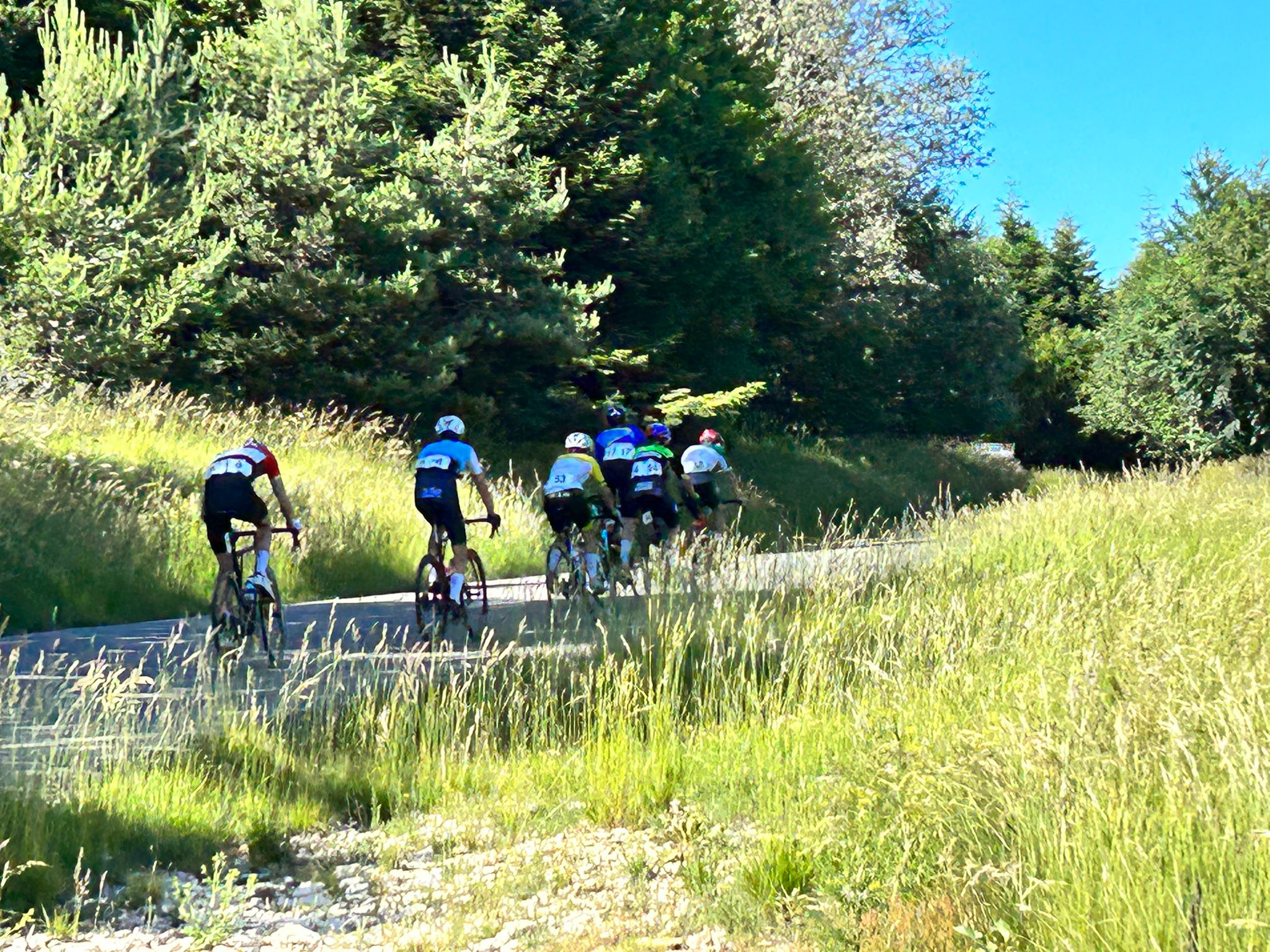 IMG-20230704-WA0035