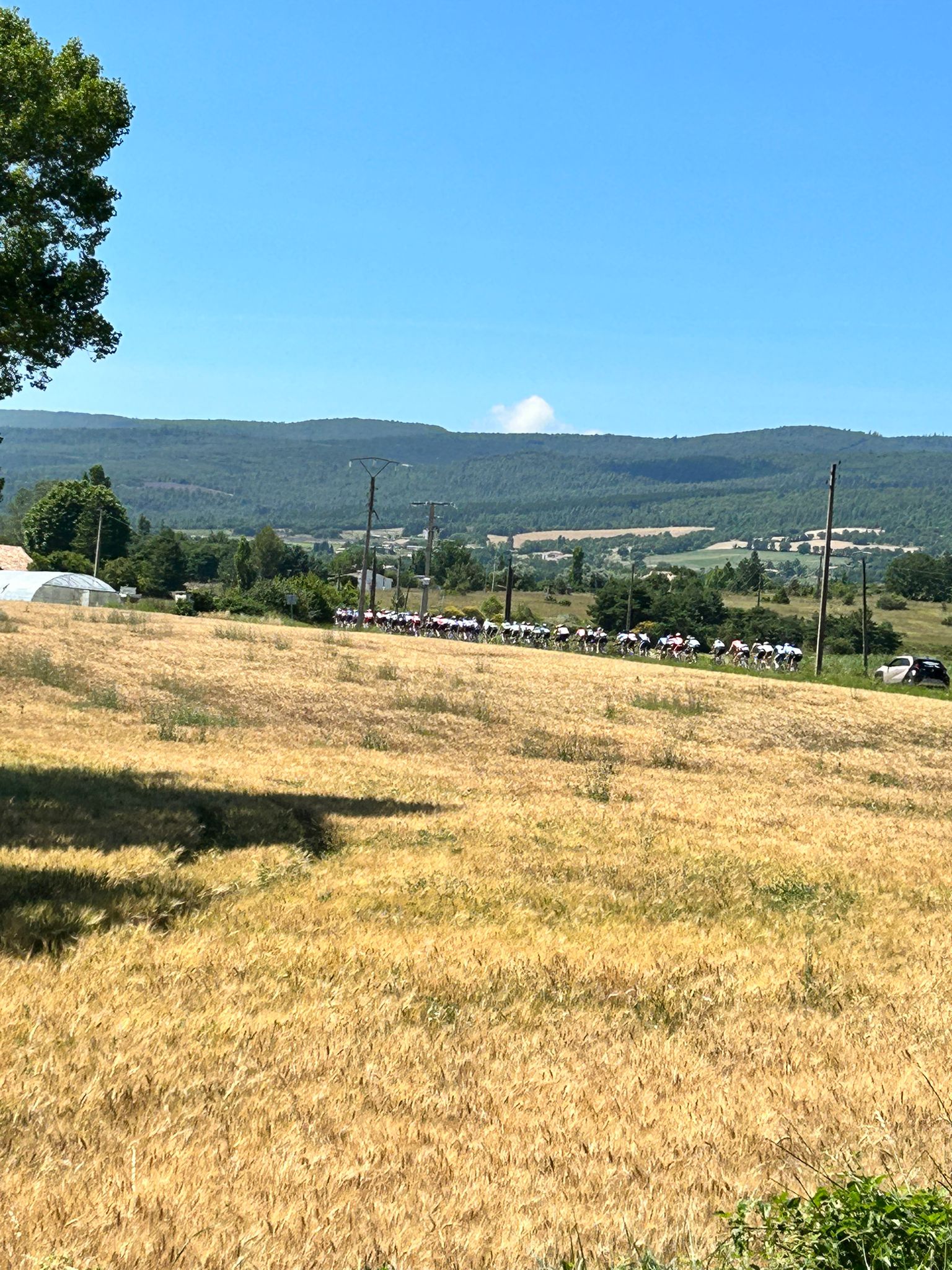 IMG-20230704-WA0040